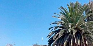 Demuelen histórica exdiscoteque gay