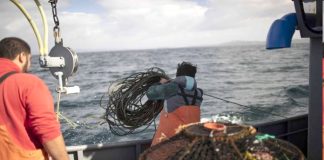 Continúan «misilazos» a la pesca artesanal tras retiro de Ley de Pesca