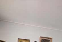 Municipales se reúnen con Senador Sergio Gahona: piden modificar proyecto de ley sobre licencias médicas