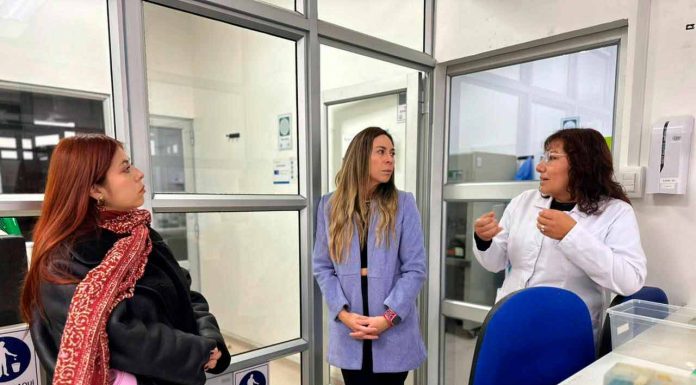 Desechos de jibia son estudiados por posible efecto contra el cáncer gástrico