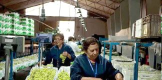 Desempleo regional sube a 9,1% y uno de cada tres trabajadores se mantiene en la informalidad