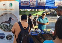 Vuelve la Feria de Conservación Marina en Coquimbo