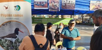 Vuelve la Feria de Conservación Marina en Coquimbo