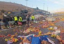 Chofer de camión murió en volcamiento: robaron su carga