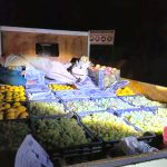 Refuerzan fiscalización en Monte Patria por bandas dedicadas al robo de fruta