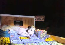 Refuerzan fiscalización en Monte Patria por bandas dedicadas al robo de fruta