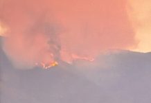 Incendio en Los Vilos ya consume 550 hectáreas y sigue en combate