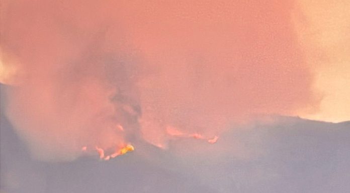 Incendio en Los Vilos ya consume 550 hectáreas y sigue en combate