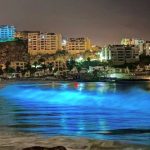 Bioluminiscencia sigue avanzando por las costas de la región