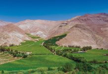 Para este miércoles y jueves: SENAPRED declara Alerta Temprana Preventiva por vientos en la cordillera