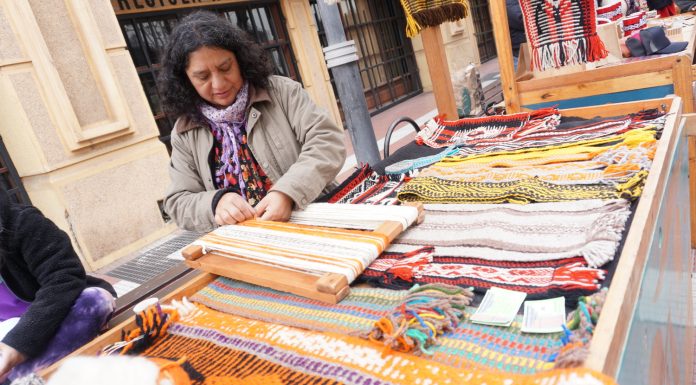Más de mil personas dieron vida a la Muestra Patrimonial 2026 en la Plaza de Armas de La Serena