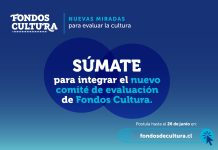 Convocan a especialistas de la Región de Coquimbo para integrar equipos evaluadores de Fondos de Cultura