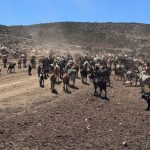 MINAGRI y Banco Estado activan financiamiento FOGAPE especial para apoyar a agricultores frente a contingencias que afectan al sector agroalimentario