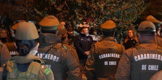 Casi medio centenar de detenidos y más de 1.300 fiscalizaciones: las cifras que marcaron un nuevo operativo policial conjunto en la región