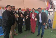 SENADIS impulsa validación de pulseras de Comunicación Aumentativa y Alternativa en Aulas Hospitalarias