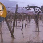 «Es una insolencia e ignorancia absoluta»: gremios pisqueros responden a ministro Campos