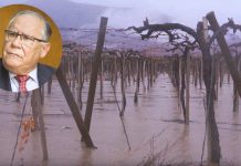 «Es una insolencia e ignorancia absoluta»: gremios pisqueros responden a ministro Campos