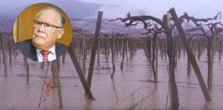 «Es una insolencia e ignorancia absoluta»: gremios pisqueros responden a ministro Campos