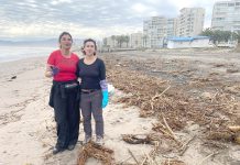 Se pusieron manos a la obra para limpiar el borde costero