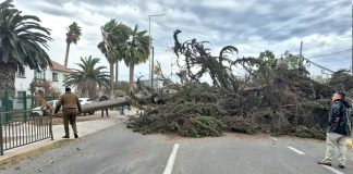 Vientos soplan fuerte en la previa del «aguacero»