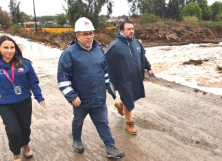 «No me corresponde hacer ningún juicio sobre lo que decida el Presidente»