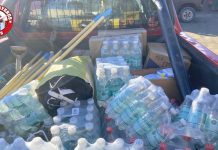 Papayeros y Piratas hacen campañas para damnificados de la catástrofe