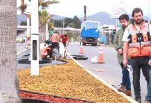 Ali asegura que municipio invierte más que el Serviu en pavimentar calles