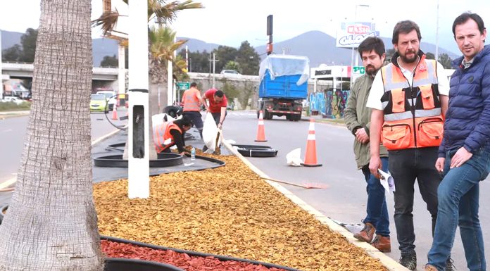 Ali asegura que municipio invierte más que el Serviu en pavimentar calles