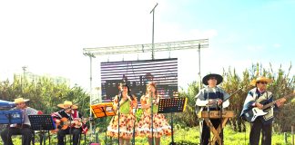 Celebrarán el Día Nacional del Cuequero con gran encuentro regional