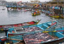 Pescadores inician proceso de reclamación por ley de fraccionamiento