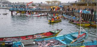 Pescadores inician proceso de reclamación por ley de fraccionamiento