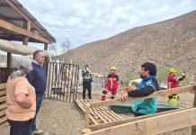 Vicuña se levanta, pero aún enfrenta importantes desafíos para su reconstrucción