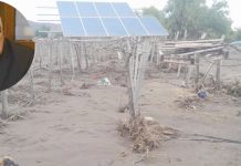 Escala polémica por dichos de ministro Campos sobre daños agrícolas