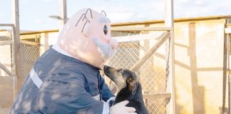 Dr. Simi arribó a la zona: socorrió a perritos que sufrieron con las lluvias