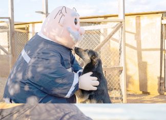 Dr. Simi arribó a la zona: socorrió a perritos que sufrieron con las lluvias