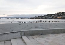 Pesca artesanal se anticipa a los embates del temporal