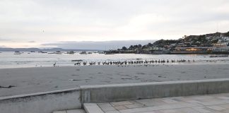 Pesca artesanal se anticipa a los embates del temporal