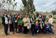 Fortalecen la Seguridad Alimentaria de Ovalle con innovador huerto comunitario y módulos de hidroponía para familias