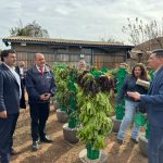Fortalecen la Seguridad Alimentaria de Ovalle con innovador huerto comunitario y módulos de hidroponía para familias