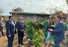 Fortalecen la Seguridad Alimentaria de Ovalle con innovador huerto comunitario y módulos de hidroponía para familias