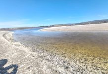 «Niño Costero» dispara la temperatura en las costas y amenaza a la acuicultura