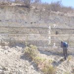 Estudio de microfósiles de Tongoy revela aspectos del Sistema de la Corriente de Humboldt