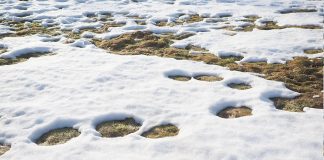 Seis metros de nieve mejoran el escenario hídrico del Elqui