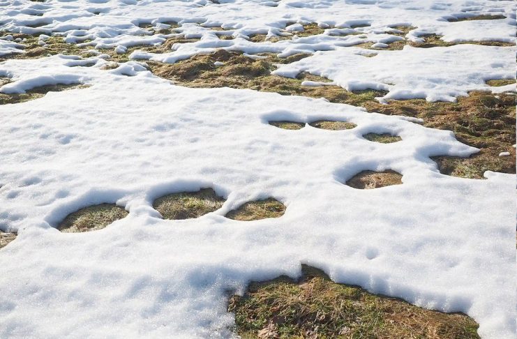 Seis metros de nieve mejoran el escenario hídrico del Elqui