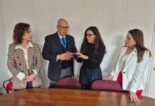 Proyecto de ley busca fortalecer la protección de víctimas de violencia intrafamiliar y contra las mujeres