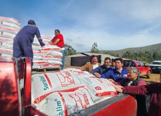 En Canela INDAP fortalece la rehabilitación productiva de sus usuarios con la entrega de alimentación animal