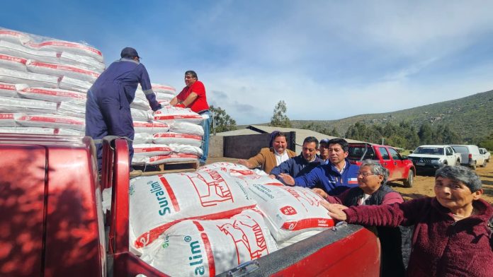 En Canela INDAP fortalece la rehabilitación productiva de sus usuarios con la entrega de alimentación animal 01