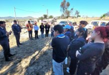 Jóvenes de cuatro países de la Alianza del Pacífico realizaron voluntariado en el sector Islón de La Serena