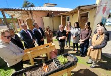 Día de la Solidaridad: autoridades regionales conmemoran la jornada junto a personas mayores de Punitaqui