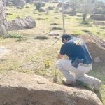 Cráneo es hallado entre rocas en sector de Punitaqui